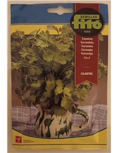 CILANTRO