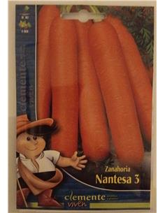 ZANAHORIA NANTESA CLEMENTE