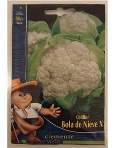 COLIFLOR BOLA DE NIEVE CLEMENTE