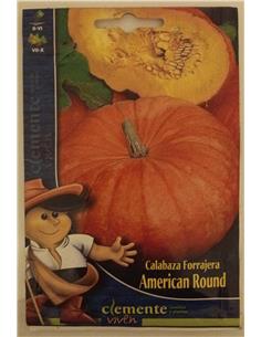 CALABAZA FORRAJERA AMERICAN ROUND CLEMENTE