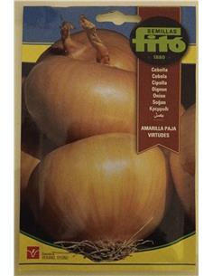 CEBOLLA AMARILLA VIRTUDES